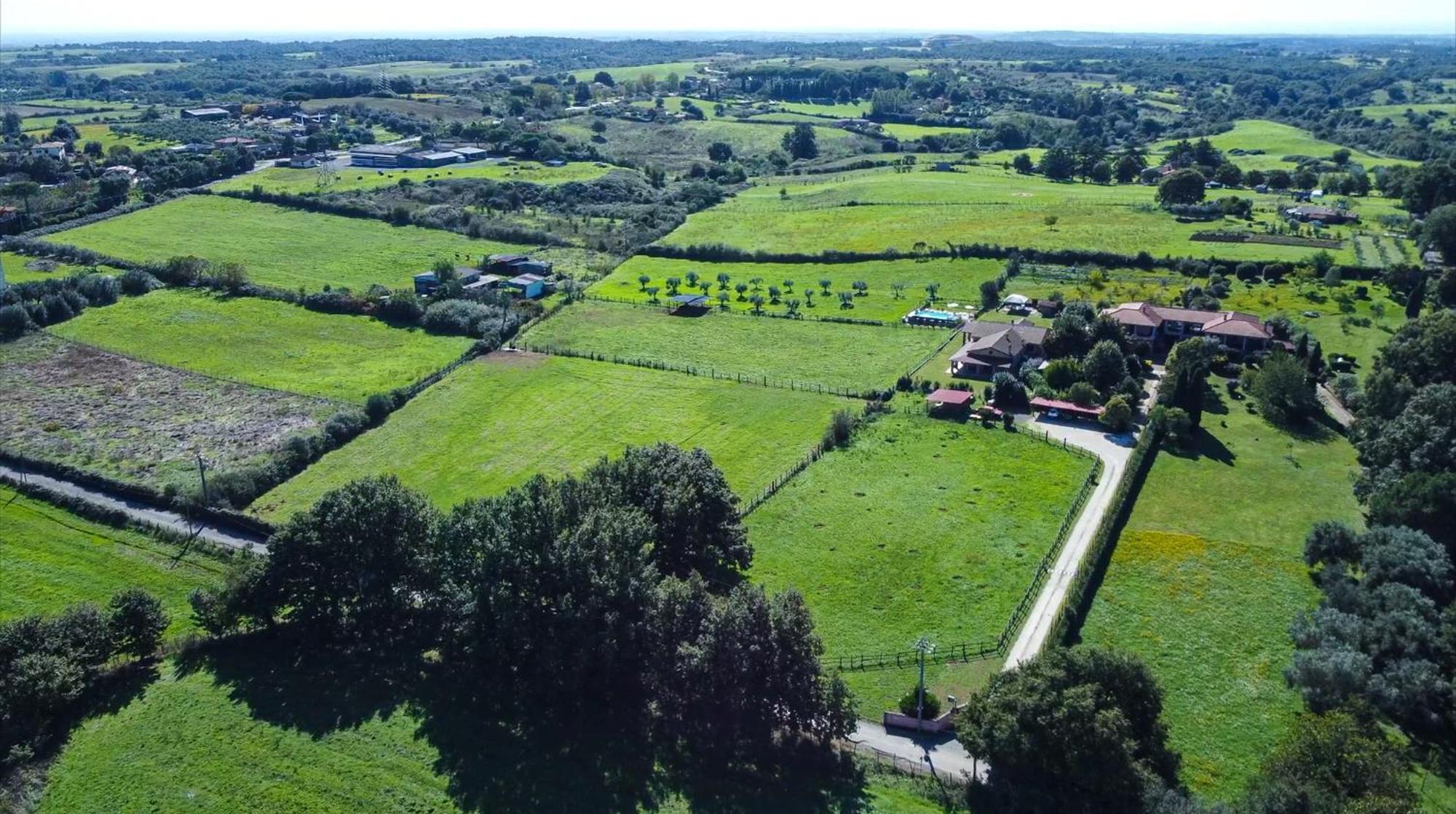 Agriturismo L.B.Stud Браччано Экстерьер фото