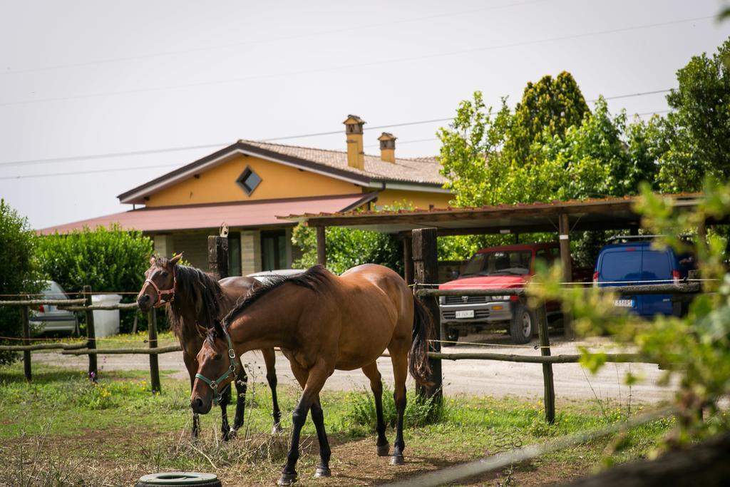 Agriturismo L.B.Stud Браччано Экстерьер фото